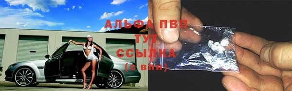 ГАЛЛЮЦИНОГЕННЫЕ ГРИБЫ Болхов