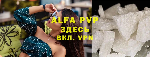 стафф Новодвинск